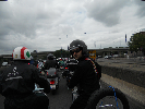 DSCN8256.jpg
