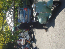 DSC03894.JPG