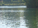 DSC03901.jpg