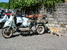 DSCN6375.jpg
