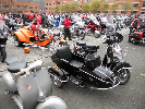 DSCN7423.jpg